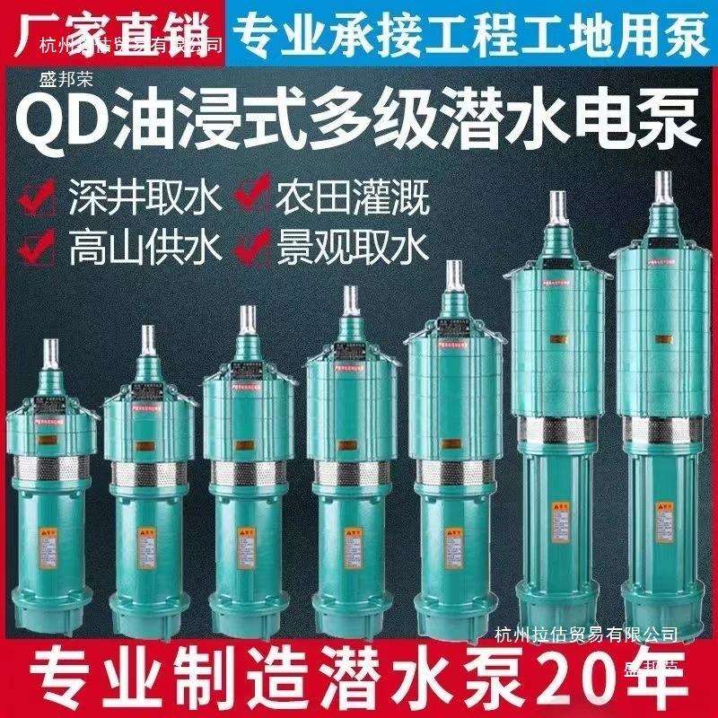 潜水泵2820V高扬程高压水泵农用灌溉VPL2用单相30V1寸寸深井抽水