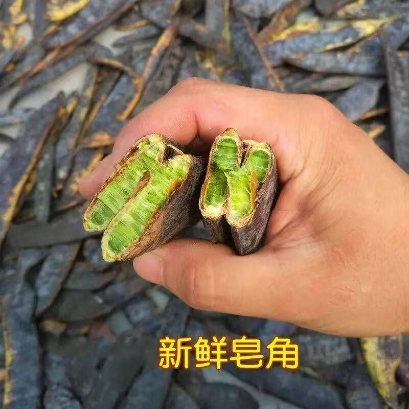 纯手工熬制侧柏叶洗发水首乌植物养发去屑止痒控油草本天然洗发水