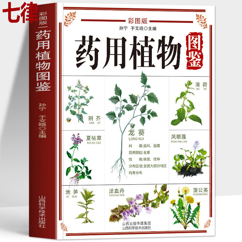 正版 药用植物图鉴彩图版 中草药全图鉴彩图大全书 药用植物辨别图鉴食用宜忌功效指南书 野外中草药识别与应用图谱中医草药书籍