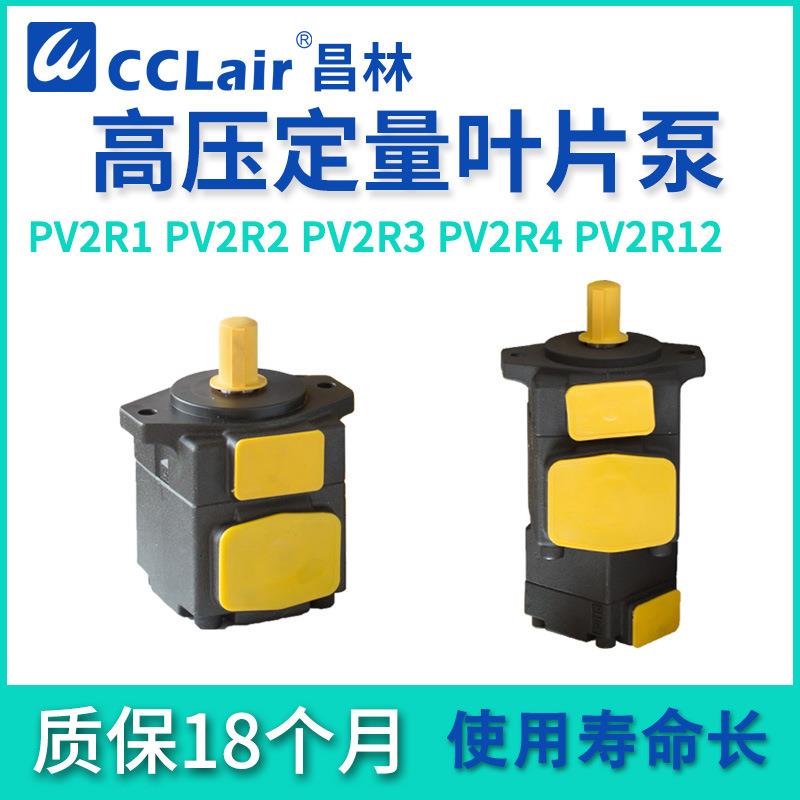 PV2R1液压PV2R2油研4油泵3高压PV2R13定量23叶片泵1214213231