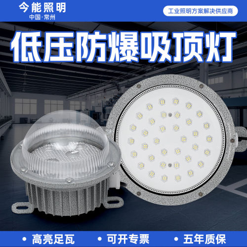 LED防爆吸顶灯仓库低压交流直流DC24v12VAC36V加油站隔爆吸顶灯