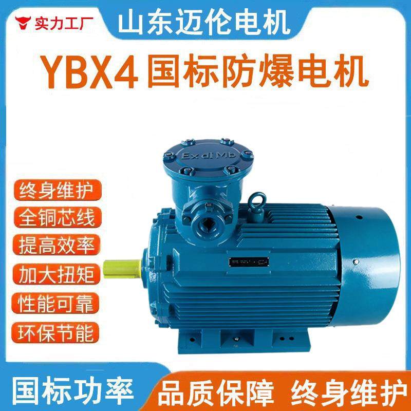 YBX4隔爆型高效率三相异步电动机全铜粉尘防爆电机厂家供应电动机,电子元器件市场,电机/马达,淘宝优惠券,粉丝福利购,淘宝优惠卷