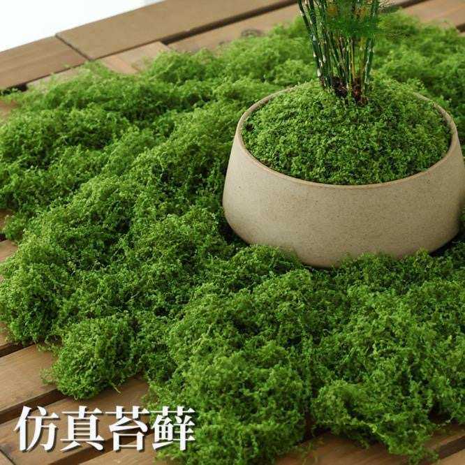 仿真苔藓造景假青苔毛线草皮绿植微景观植物装饰人造仿生草坪石头,鲜花速递/花卉仿真/绿植园艺,仿真绿植,淘宝优惠券,粉丝福利购,淘宝优惠卷