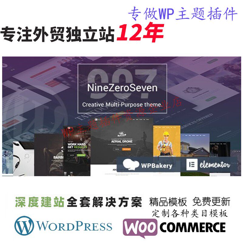907-响应式多用途 WordPress主题艺术家航拍视频网站网站展示模板
