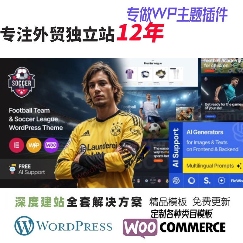 SoccerClub - 足球队和足球联赛 WordPress 主题外贸网站模板