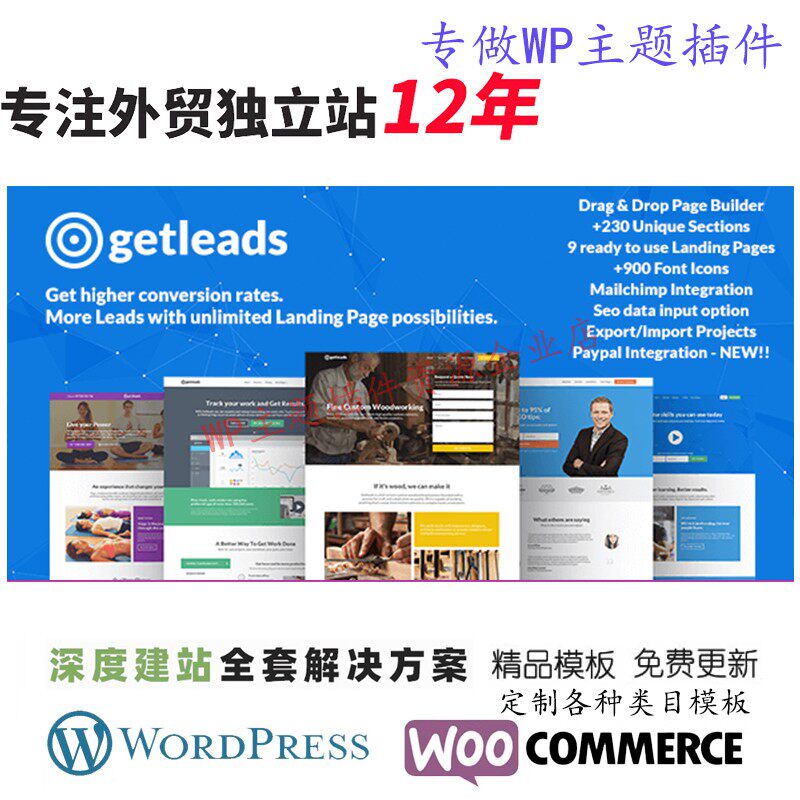 Getleads-高性能登陆页面 WordPress 主题网络服务咨询网站模板