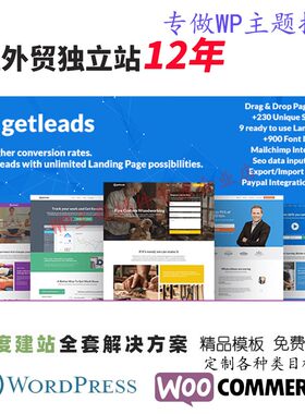 Getleads-高性能登陆页面 WordPress 主题网络服务咨询网站模板