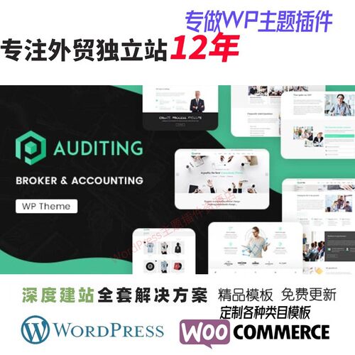 Auditing-审计 会计顾问法律相关服务 WordPress 主题网站模板