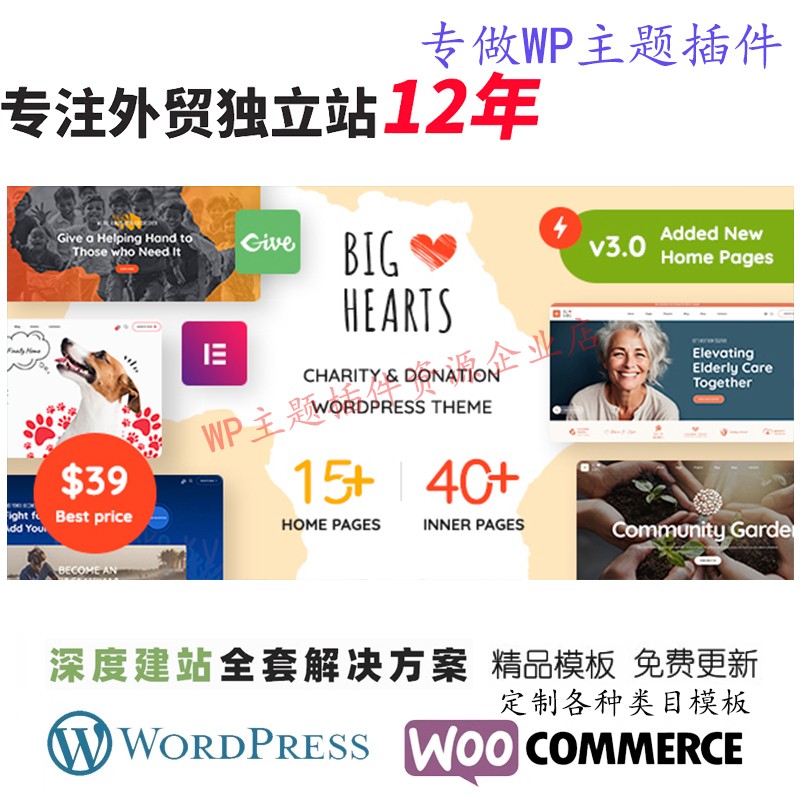 BigHearts-慈善和捐赠WordPress 主题创意个人博客模板网站模板