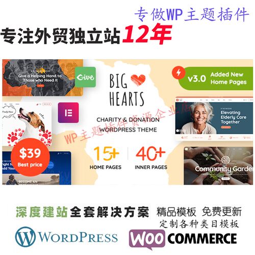 BigHearts-慈善和捐赠WordPress 主题创意个人博客模板网站模板