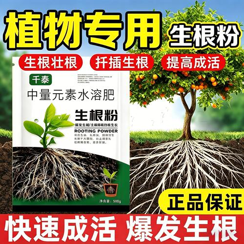 千泰强力生根粉扦插移栽通用