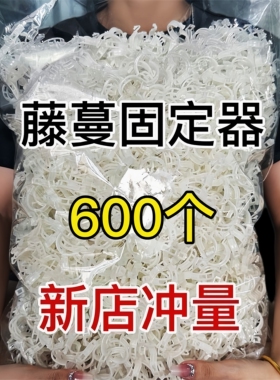 黄瓜西红柿豆角爬藤枝条固定器绿植蔬菜捆绑扎带藤蔓专用园林工具