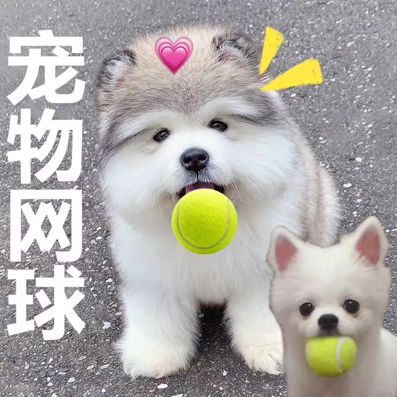 狗狗玩具球耐咬磨牙自嗨解悶神器