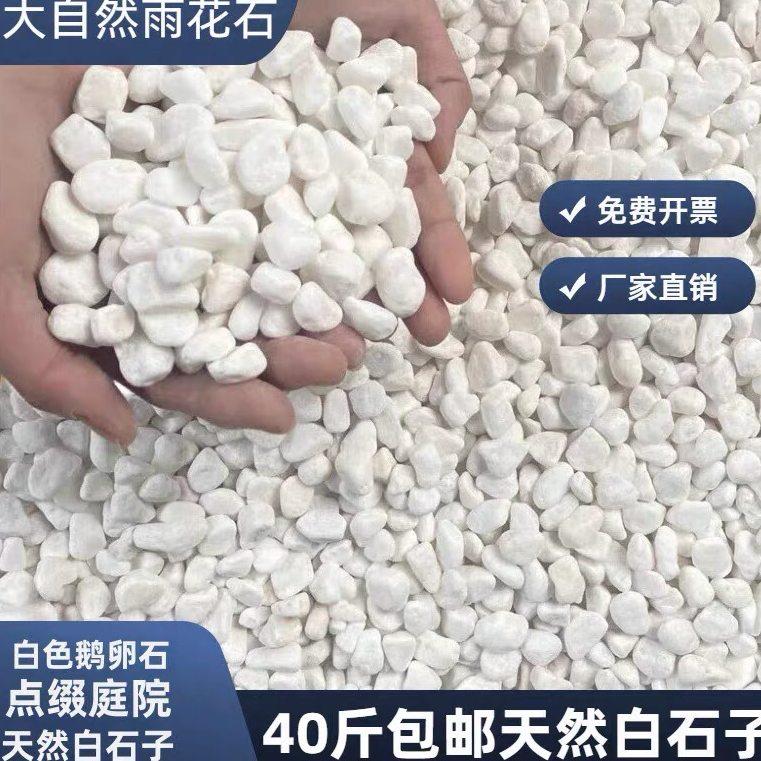 河北白石子石头大鹅卵石庭院铺路铺地小白石头园林枯山水白石子