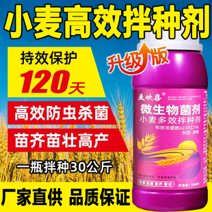 小麦拌种剂水稻花生种衣剂防虫防病种子包衣机微生物菌剂多效拌种