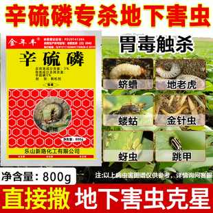 辛硫磷颗粒剂土壤杀虫剂地下地上害虫辛流鳞专用虫卵双杀农药大全