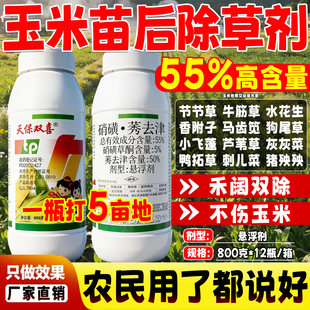 55%玉米地苗后除草专用剂硝磺莠去津不伤玉米除草封草烂根正品药