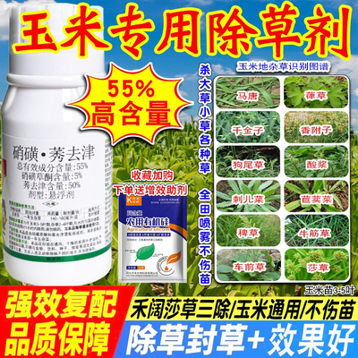 天保双喜高含量玉米苗后除草剂
