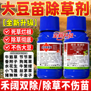 大农大豆苗后除草专用剂精喹禾灵除草烂根花生黄豆大豆苗后除草剂