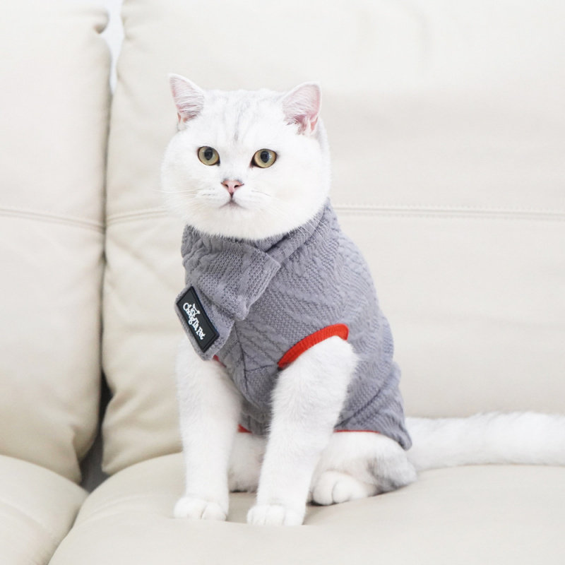 宠它可爱猫咪衣服防掉毛蓝猫无毛