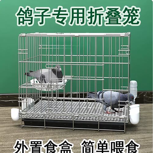 鸽子笼养鸽子专用笼养殖笼家用繁殖笼配对笼大号新型鸽舍鸽子笼子