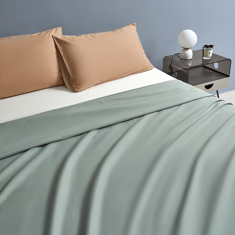 全棉A类磨毛长绒棉床单单件纯棉加厚保暖长绒棉纯色家用床上用品