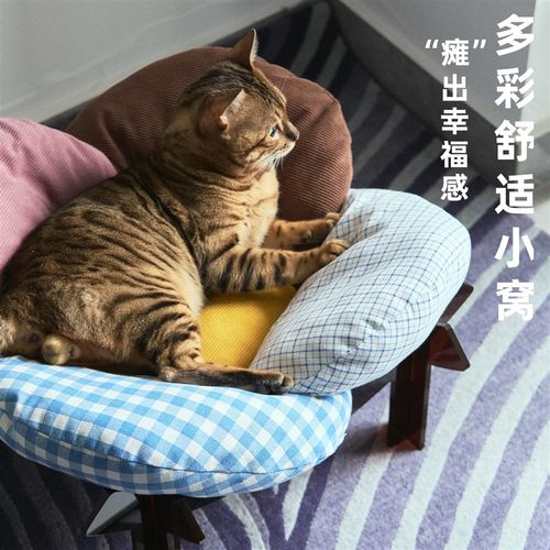 多巴胺拼色猫窝木质离地猫咪床宠物窝夏季防潮室内狗窝耐磨可拆洗
