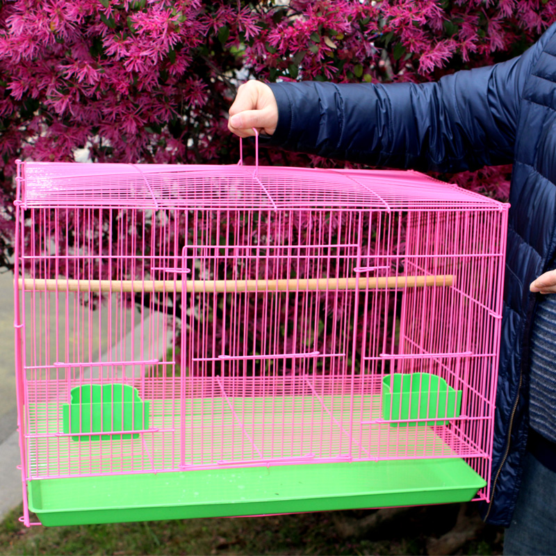 鸡笼家用大号加密芦丁鸡鸭笼自动清粪室内鹌鹑小鸡养殖笼超大空间