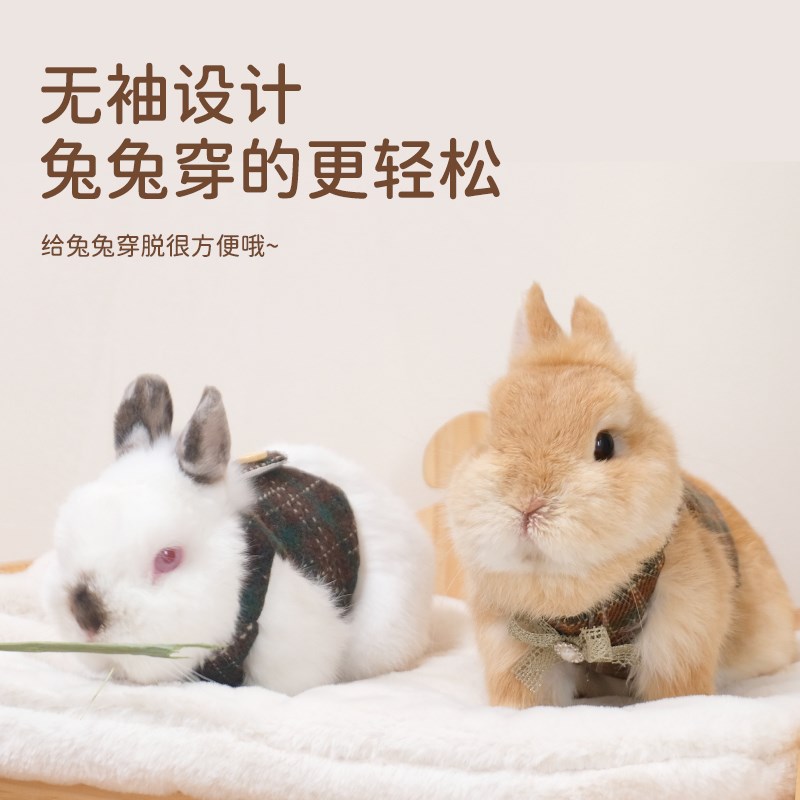 兔子王子马甲格子造型蝴蝶结兔兔外出装饰衣服侏儒兔垂耳兔牵引绳