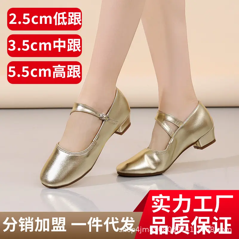 2024新款银色舞蹈鞋软皮软底成人中跟广场舞鞋妈妈鞋女低跟跳舞鞋