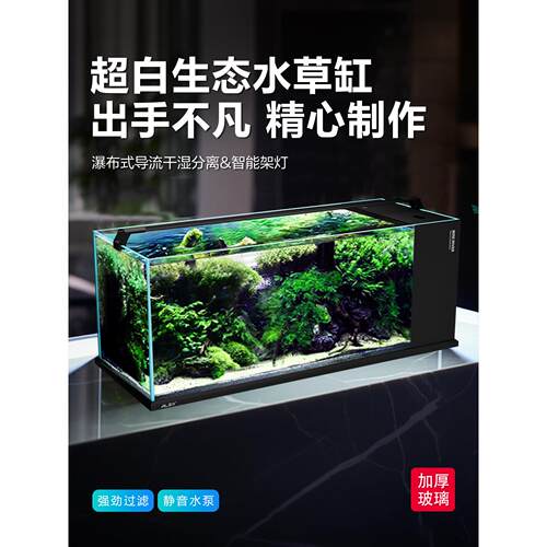莱易欧2025新款侧滤水草缸 客厅小型家用全套 超白玻璃生态金鱼缸