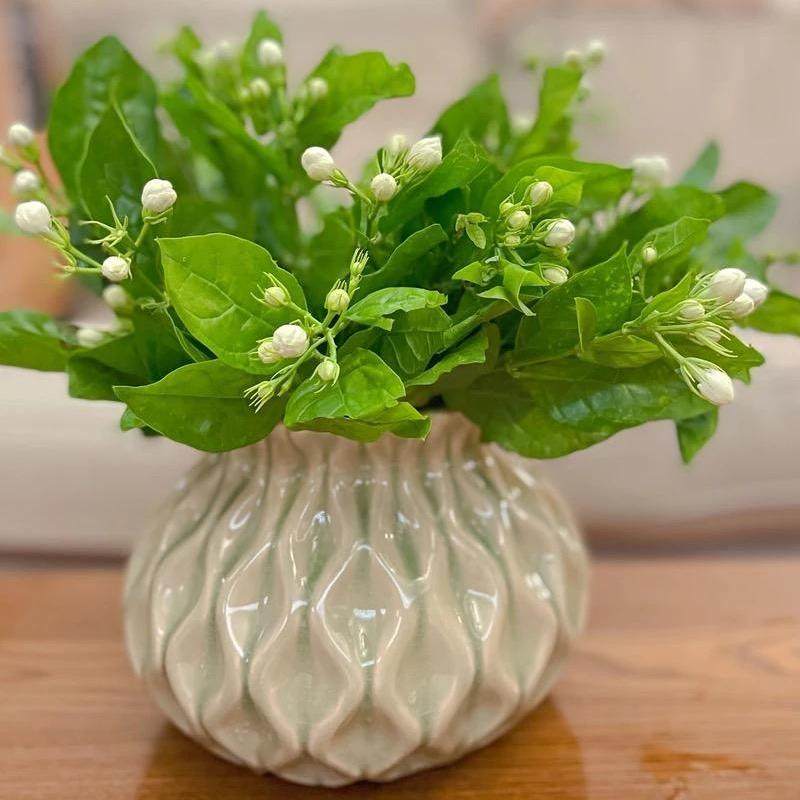 欧式陶瓷花瓶现代简约家居摆件干花餐桌冰裂纹装饰品宽口水培花器,家居饰品,花瓶,淘宝优惠券,粉丝福利购,淘宝优惠卷