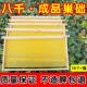 中蜂成品巢础巢框八千带框蜂巢意蜂巢脾蜜蜂巢基蜂箱专用工具养蜂