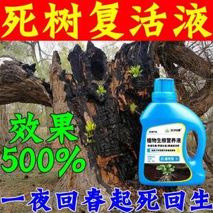 生根剂水大树复活营养液枯树再生果树木移栽花卉植物扦插通用型