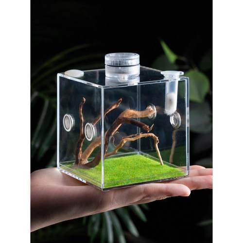 宠物蜘蛛昆虫亚克力饲养盒螳螂蝈蝈迷你爬虫生态盒玲跳蜘鸣虫盒子