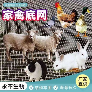 羊床漏粪网养羊鸡鸭鹅漏粪网底养殖围栏网热浸镀锌编织羊床钢丝网