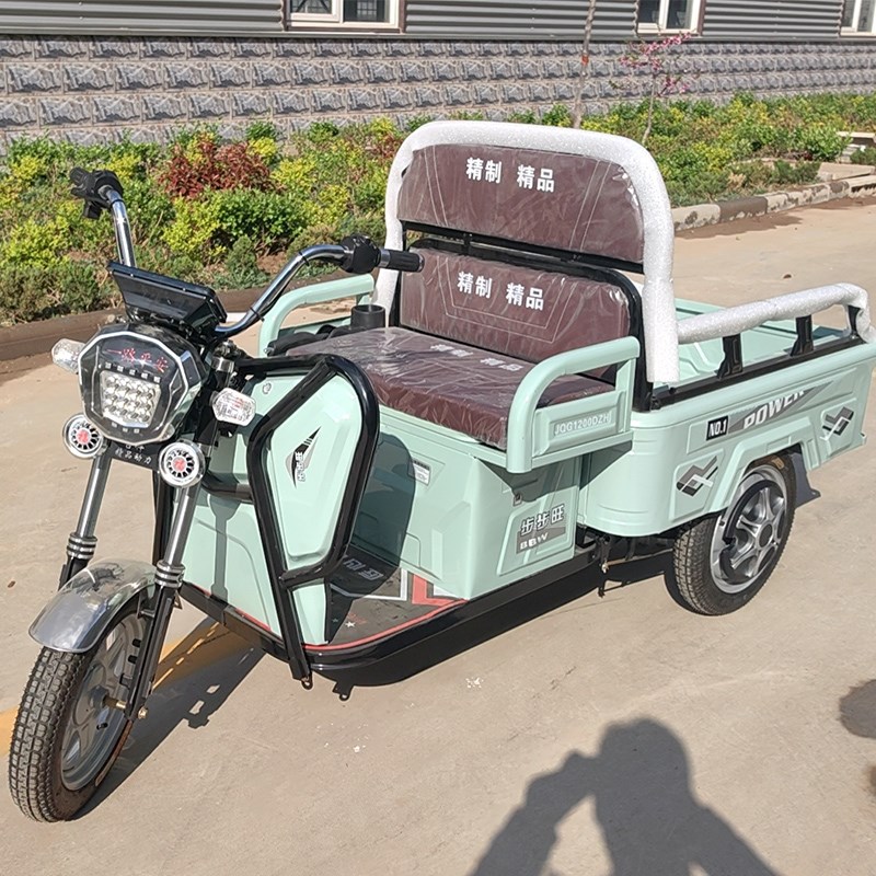 电动三轮车成人小型老人迷你接送孩子货车拉货老年步车三轮新款