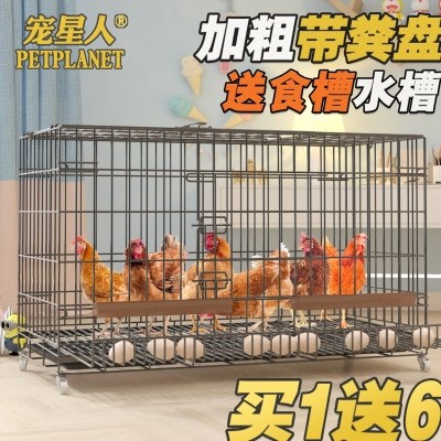 养鸡笼自动清粪大型加密养殖笼鸭笼铁丝网鸡笼家用大号特大 新款