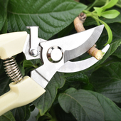 树枝修枝剪摘水果花木剪园林果树花卉枝嫁接园艺剪刀粗枝剪花枝剪