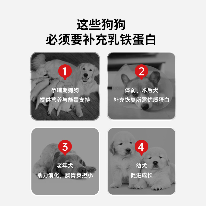 谷登乳铁蛋白狗羊奶粉成犬专用羊奶粉比熊新生幼犬有助增强免疫力