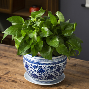 陶瓷花盆景德镇青花瓷兰花室内中国风吊兰中式 绿萝碗莲水培种花小