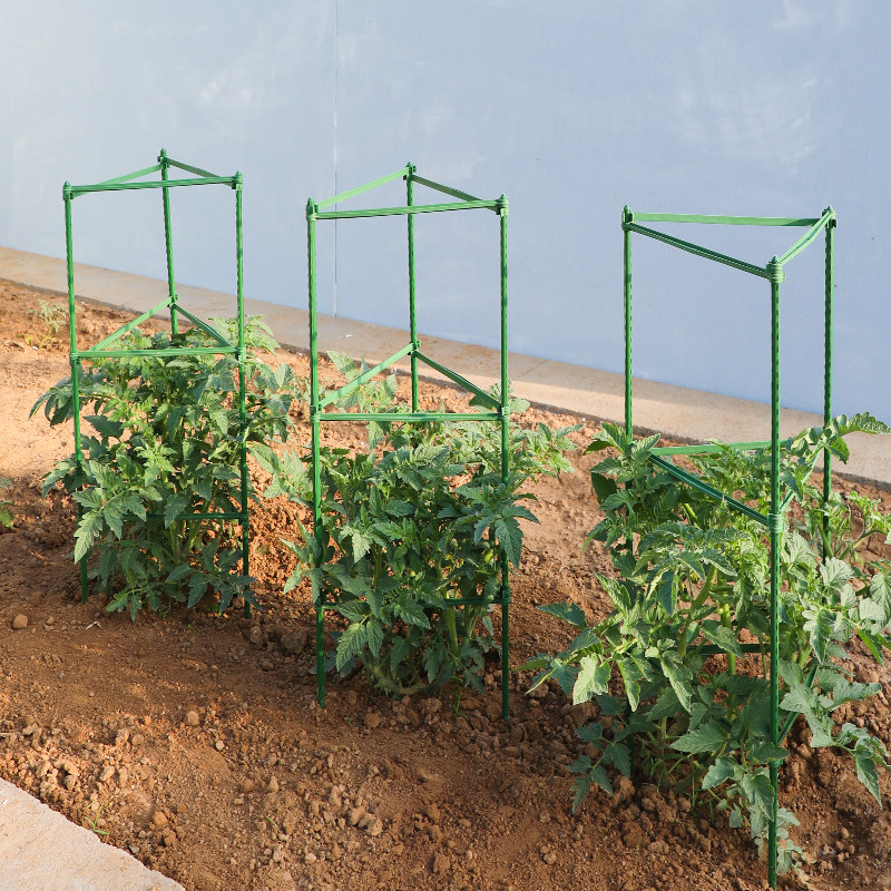 西红柿番茄架园艺花卉绿植固定支撑杆阳台地面花架茄子辣椒爬藤架