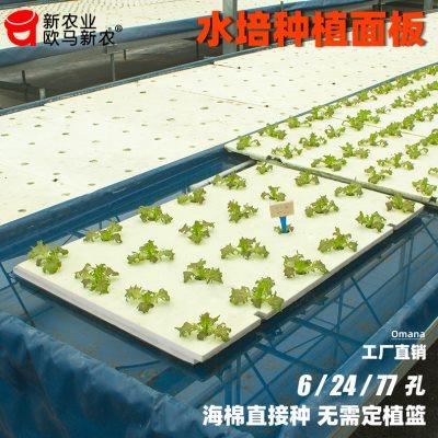 厂家无土栽培设备水培面板蔬菜鱼菜共生阳台天台定植板水上种植浮
