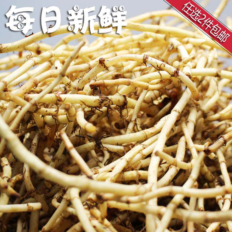 【大美黔菜】贵州新鲜 折耳根鱼腥草1斤500克〔全店任选2件包邮〕