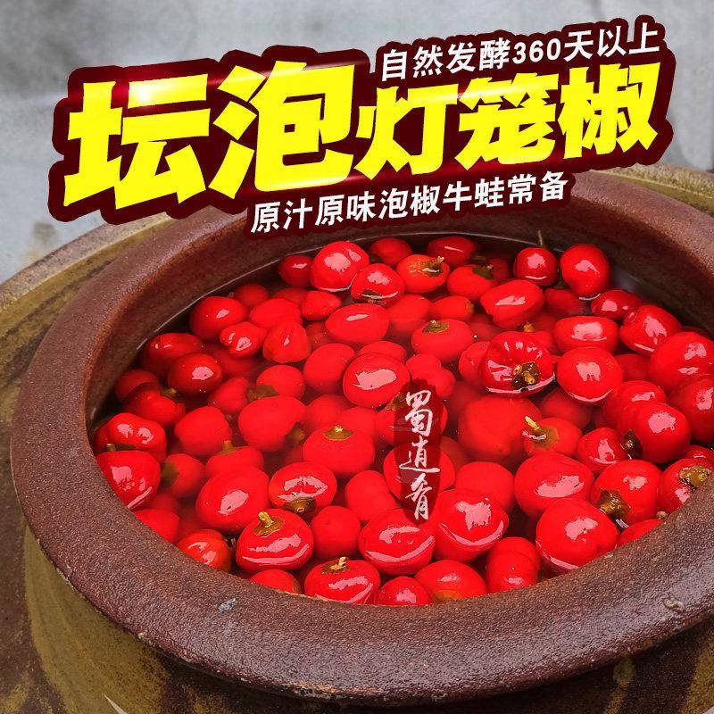 蜀逍肴灯笼椒泡椒灯笼泡椒商用泡圆辣椒泡珠子椒泡酸海椒泡椒牛蛙
