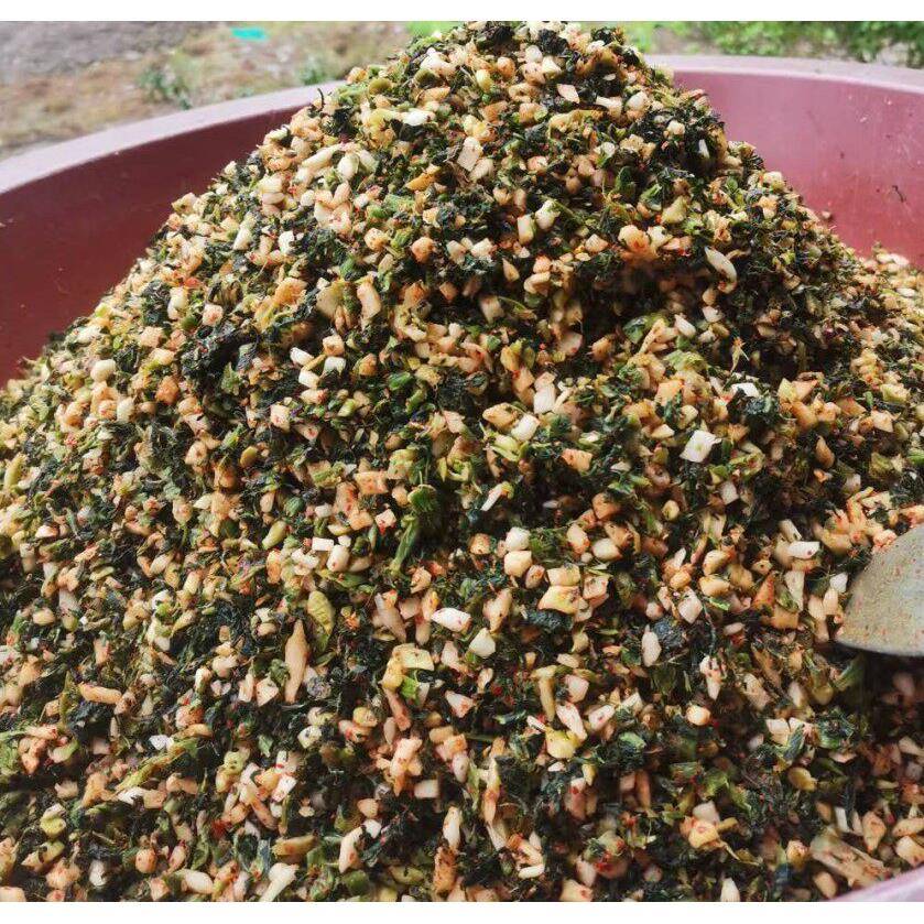 湖北恩施利川 土产 特色盐菜农家制作大头盐菜咸菜腌菜坛子菜