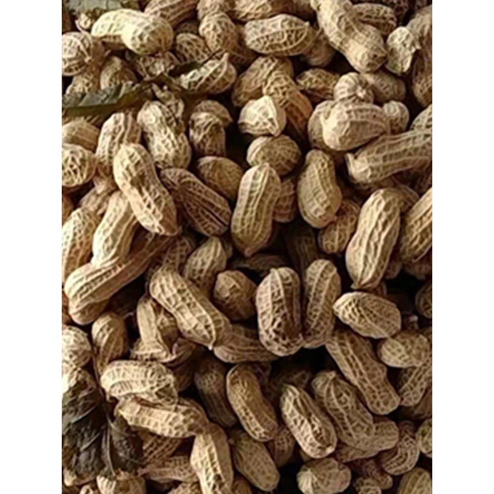 花生黄皮叶水煮咸干白玉肇庆莲塘特产正宗农家散称休闲零食黑脆花
