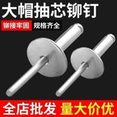 大帽沿拉铆钉抽芯铆钉铝制铆钉圆头大帽子拉钉汽车拉钉大帽檐扁头