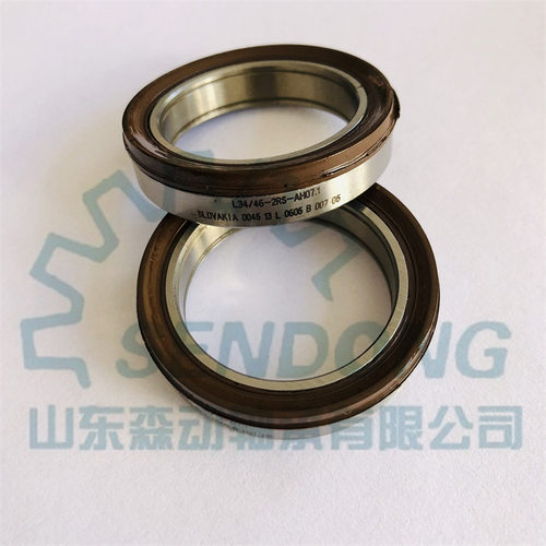 特殊密封深沟球轴承L34/46-2RS