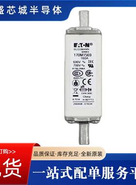 高压限流熔断器170M 2610 170M 2611 170M 2612 170M 2613现货